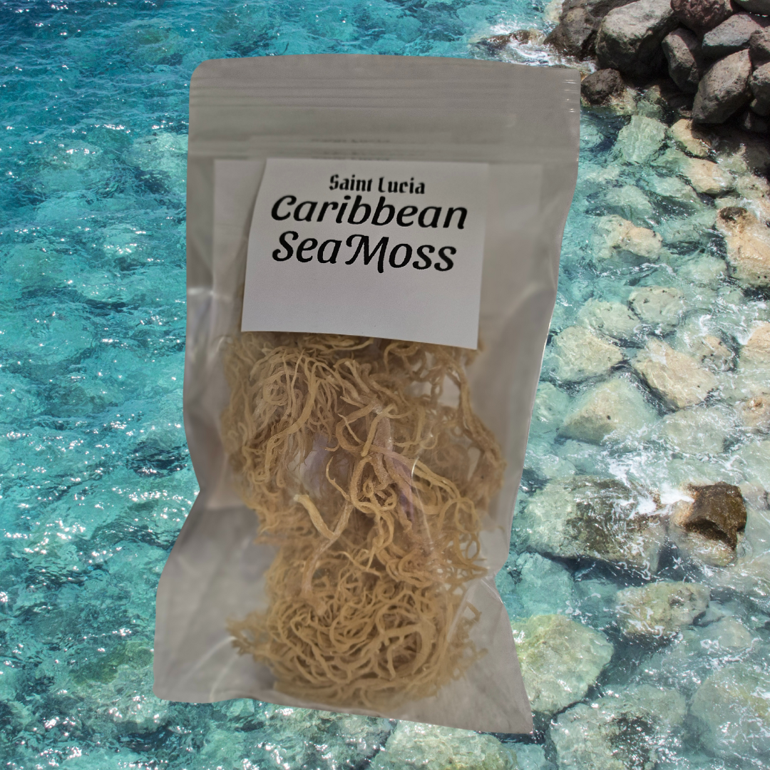 Sea Moss, St Lucia, Caribbean